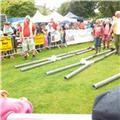 Carnival 2012 Ferret Racing 002